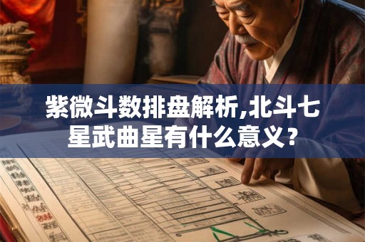 紫微斗数排盘解析,北斗七星武曲星有什么意义？