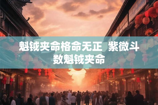魁钺夹命格命无正  紫微斗数魁钺夹命