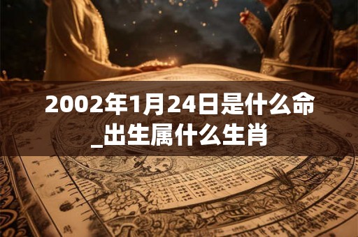 2002年1月24日是什么命_出生属什么生肖