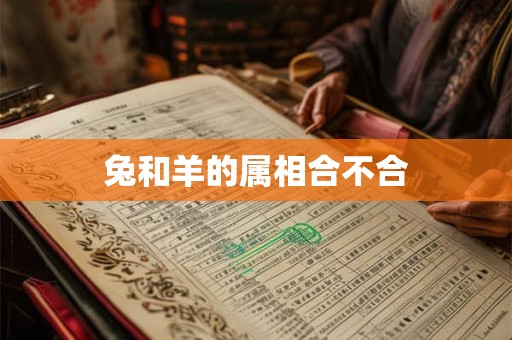 兔和羊的属相合不合