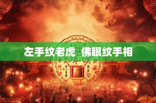 左手纹老虎  佛眼纹手相