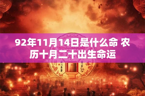 92年11月14日是什么命 农历十月二十出生命运