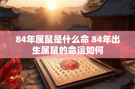 84年属鼠是什么命 84年出生属鼠的命运如何