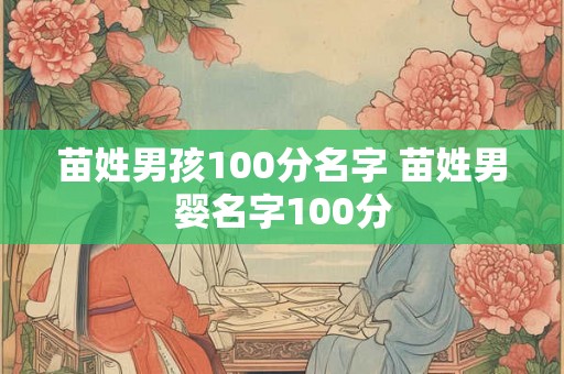 苗姓男孩100分名字 苗姓男婴名字100分