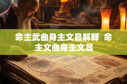 命主武曲身主文昌解释  命主文曲身主文昌