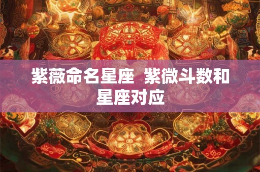 紫薇命名星座  紫微斗数和星座对应