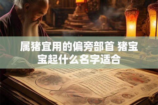 属猪宜用的偏旁部首 猪宝宝起什么名字适合