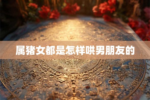 属猪女都是怎样哄男朋友的