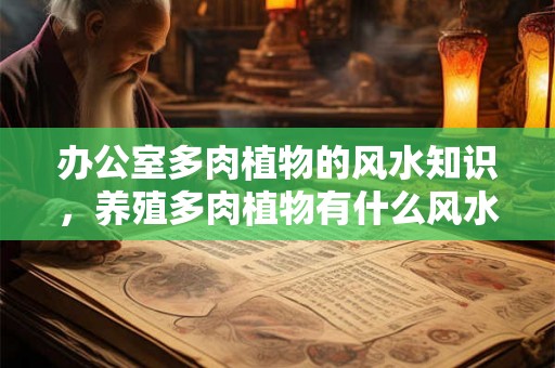 办公室多肉植物的风水知识，养殖多肉植物有什么风水禁忌？
