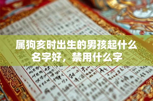 属狗亥时出生的男孩起什么名字好，禁用什么字