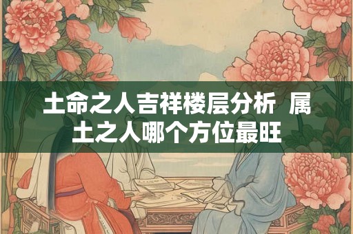 土命之人吉祥楼层分析  属土之人哪个方位最旺