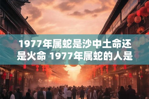 1977年属蛇是沙中土命还是火命 1977年属蛇的人是属于沙中土命还是火命