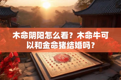 木命阴阳怎么看？木命牛可以和金命猪结婚吗？