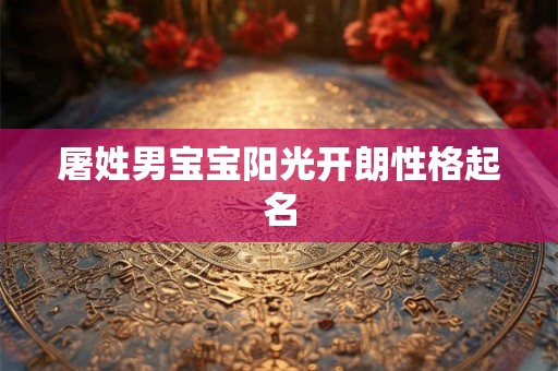 屠姓男宝宝阳光开朗性格起名
