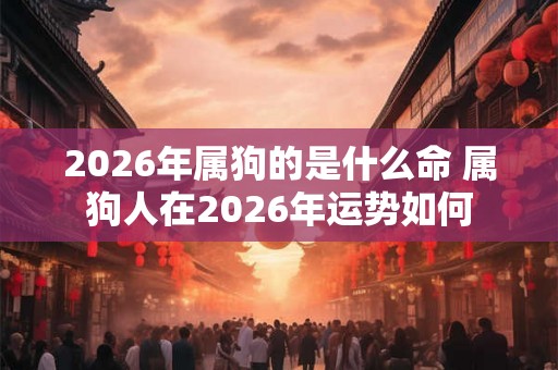 2026年属狗的是什么命 属狗人在2026年运势如何