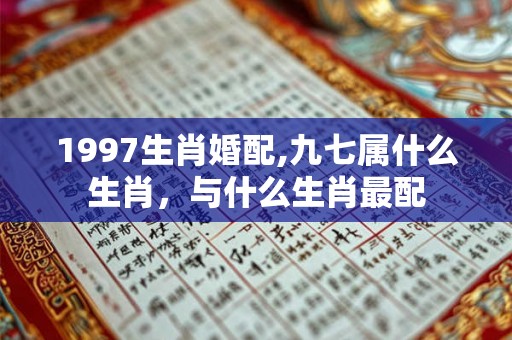 1997生肖婚配,九七属什么生肖，与什么生肖最配