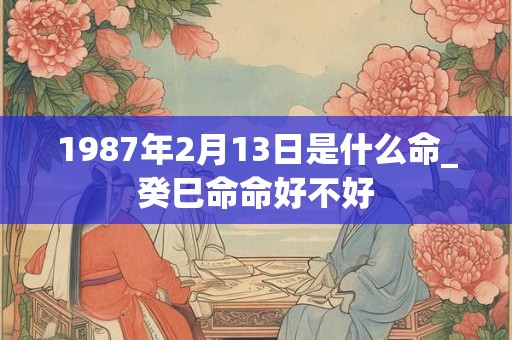 1987年2月13日是什么命_癸巳命命好不好