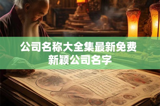公司名称大全集最新免费 新颖公司名字