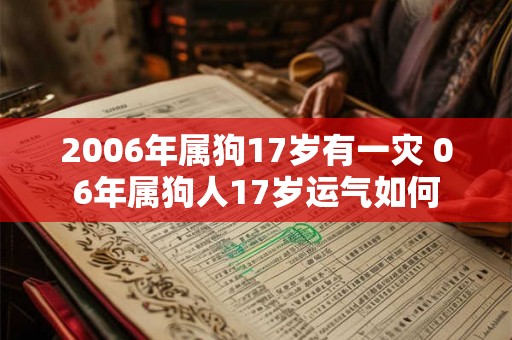 2006年属狗17岁有一灾 06年属狗人17岁运气如何