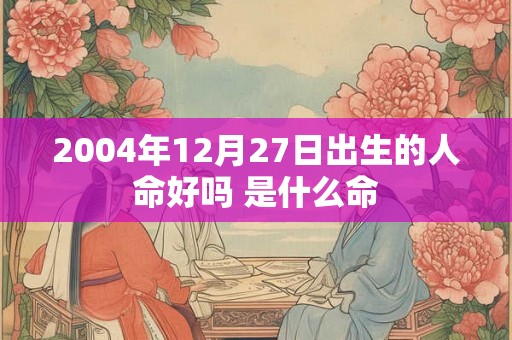 2004年12月27日出生的人命好吗 是什么命