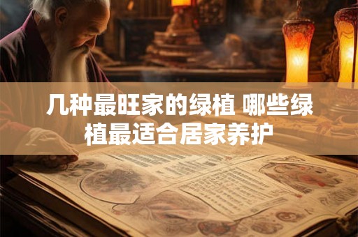 几种最旺家的绿植 哪些绿植最适合居家养护