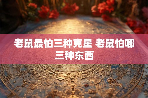 老鼠最怕三种克星 老鼠怕哪三种东西 老鼠最怕三种克星 老鼠怕哪三种东西