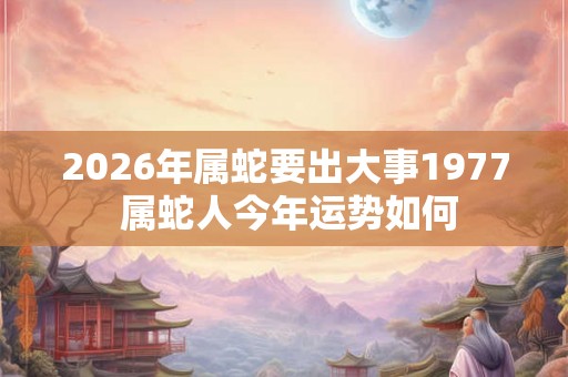 2026年属蛇要出大事1977 属蛇人今年运势如何