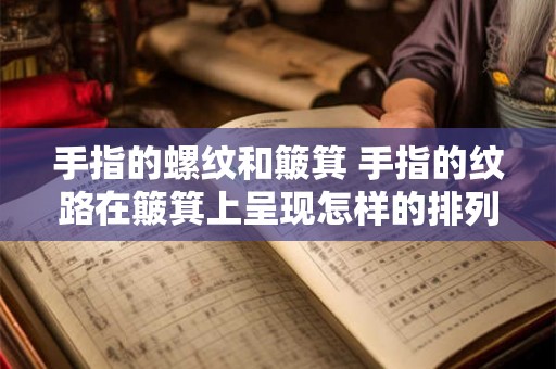 手指的螺纹和簸箕 手指的纹路在簸箕上呈现怎样的排列