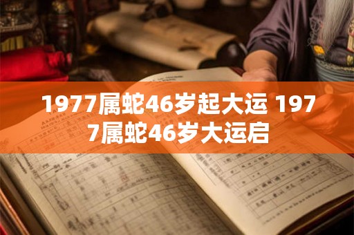 1977属蛇46岁起大运 1977属蛇46岁大运启 1977属蛇46岁起大运 1977属蛇46岁大运启