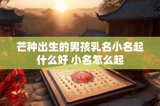 芒种出生的男孩乳名小名起什么好 小名怎么起