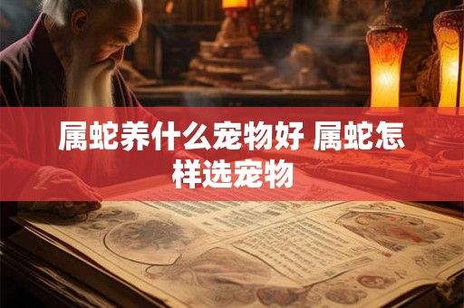 属蛇养什么宠物好 属蛇怎样选宠物