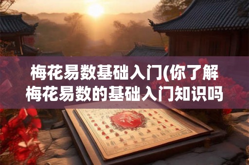 梅花易数基础入门(你了解梅花易数的基础入门知识吗) 梅花易数基础入门(你了解梅花易数的基础入门知识吗)