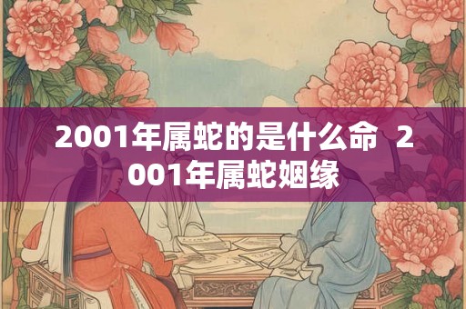 2001年属蛇的是什么命  2001年属蛇姻缘