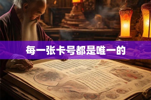 每一张卡号都是唯一的 每一张卡号都是唯一的