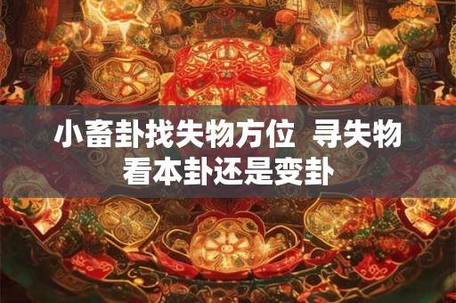 小畜卦找失物方位  寻失物看本卦还是变卦
