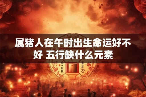 属猪人在午时出生命运好不好 五行缺什么元素