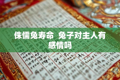 侏儒兔寿命 兔子对主人有感情吗 侏儒兔寿命 兔子对主人有感情吗