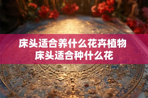 床头适合养什么花卉植物 床头适合种什么花
