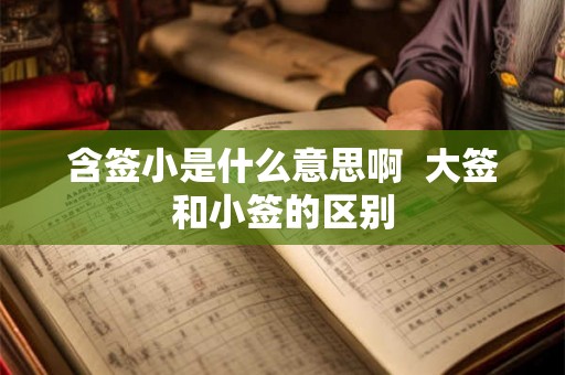 含签小是什么意思啊  大签和小签的区别