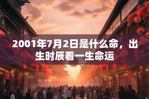 2001年7月2日是什么命，出生时辰看一生命运