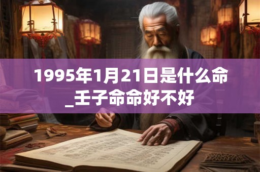1995年1月21日是什么命_壬子命命好不好