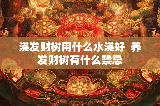 浇发财树用什么水浇好 养发财树有什么禁忌 浇发财树用什么水浇好 养发财树有什么禁忌