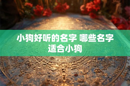 小狗好听的名字 哪些名字适合小狗