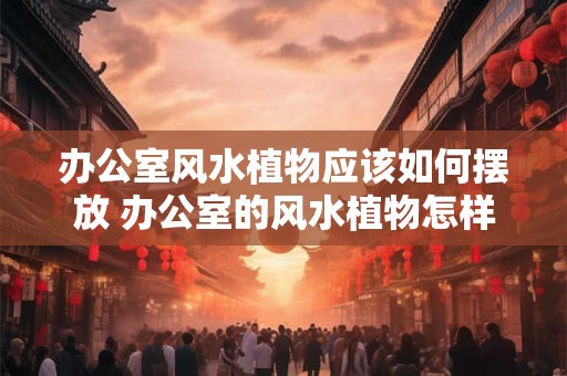 办公室风水植物应该如何摆放 办公室的风水植物怎样摆放最恰当