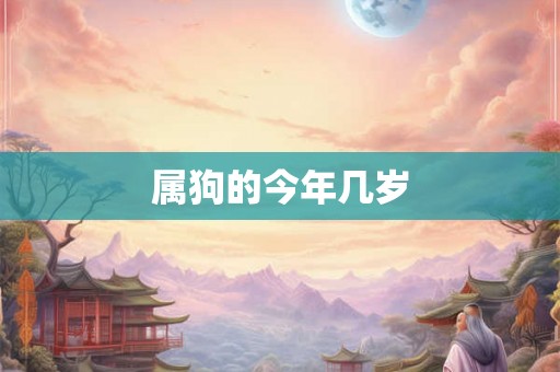 属狗的今年几岁