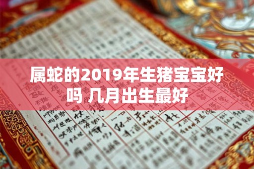 属蛇的2019年生猪宝宝好吗 几月出生最好
