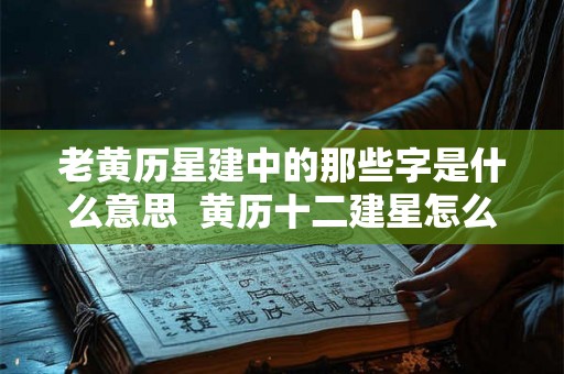 老黄历星建中的那些字是什么意思  黄历十二建星怎么看