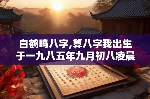 白鹤鸣八字,算八字我出生于一九八五年九月初八凌晨一点