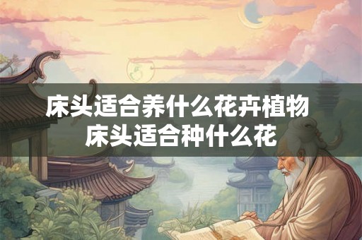 床头适合养什么花卉植物 床头适合种什么花