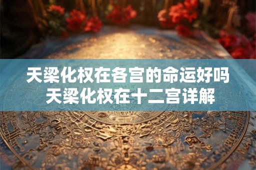 天梁化权在各宫的命运好吗 天梁化权在十二宫详解